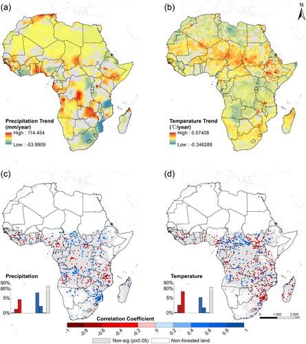 Figure 9. Linear trend and correlation coefficient maps for precipitation and temperature in Africa over 2000–2020. The spatio-temporal trend of (a) annual accumulated precipitation and (b) annual mean temperature. Pearson’s correlation coefficient between tree cover and (c) annual accumulated precipitation and (d) annual mean temperature. Grey color areas exhibited no significant trend or correlation at the 95% confidence level. White color areas exhibited no forest-covered (Pixels with tree cover approximately 0% of more than 18 years from 2000 to 2020).