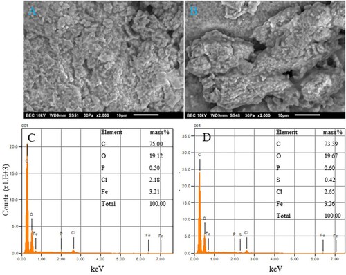 Figure 2. SEM and EDS spectrum of synthesized INPs obtained from cow (CW) and goat (GT) milk. The upper panels represent the SEM images of CWINP (A) and GTINP (B) and the lower panels represents the EDS data for CWINP (C) and GTINP (D). The insets in C and D represents the % of elements present in each case.