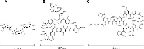 Figure 1 Molecular structures of the antibiotics used.Notes: (A) Gentamicin, (B) vancomycin, and (C) daptomycin.