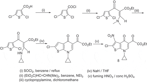 Scheme 4. Synthesis of ethyl 2-chloro-3-nitro-4-oxo-4,7-dihydro thieno[2,3-b]pyridine-5-carboxylate(8).