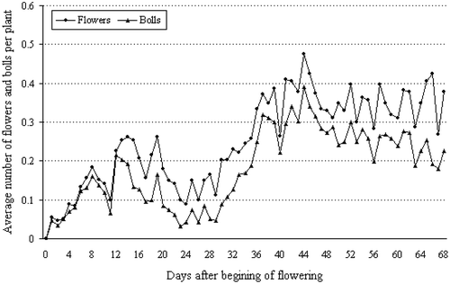 Figure 1. Daily number of flowers and bolls during the production stage (68 days) in the first season (I) for the Egyptian cotton cultivar Giza 75 (Gossypium barbadense L.) grown in uniform field trial at the experimental farm of the Agricultural Research Centre, Giza (30° N, 31°: 28′ E), Egypt.
