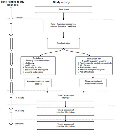 Figure 2 Study recruitment and assessment timeline.