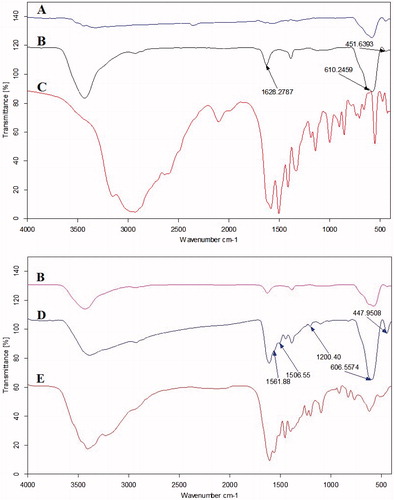 Figure 2. FTIR spectra of (A) Fe3O4, (B) F-Lys NPs, (C) Pure L-Lysine, (D) F-Lys-MTX NPs, and (E) Pure MTX.