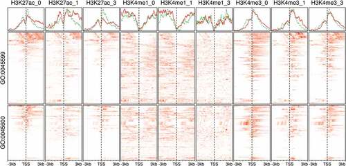 Figure 6. Histone modifications at the promoter region of fat cell differentiation regulators in adipocytes. Signal tracks from ChIP-Seq samples (n = 9) of histone markers were extracted from regions coding for the members of two gene ontology (GO) terms. The GO terms are negative regulation of fat cell differentiation (GO:0045599; n = 63) and positive regulation of fat cell differentiation (GO:0045600; n = 62). Scores at 10 bp windows over genomic regions of 3kb around the transcript start site (TSS) are shown as heatmaps (red). The average scores over the same genomic regions are shown as separate line for GO:0045599, green and GO:0045600, red. Samples are labelled by the histone marker ChIP antibody and the differentiation stage (0, non-induced; 1, early; 3, late-differentiation).