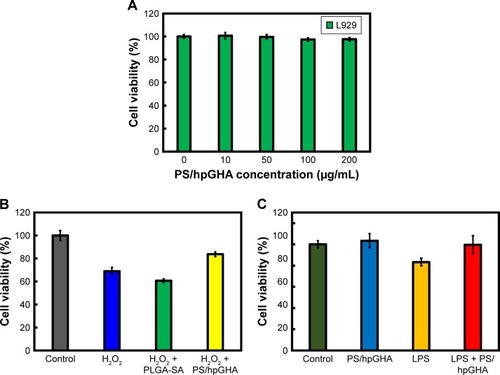 Figure 5 Antioxidant properties of PS/hpGHA NPs in vitro.Notes: (A) Cell viability of L929 cells treated with PS/hpGHA NPs (0, 10, 50, 100, and 200 µg/mL) for 24 hours. (B) Protection of PS/hpGHA NPs from H2O2-mediated toxicity. Cell viabilities were measured for L929 cells incubated for 24 hours with H2O2, H2O2 + PLGA-SA, and H2O2 + PS/hpGHA NPs. (C) Cytotoxicity of LPS on L929 cells. Viabilities of L929 cells that were incubated for 24 hours with PBS, PS/hpGHA NPs, LPS, and LPS + PS/hpGHA NPs were measured.Abbreviations: LPS, lipopolysaccharide; NPs, nanoparticles; PLGA, poly (lactide-co-glycolide); PS, poly (lactide-co-glycolide)-stearylamine; SA, stearylamine.