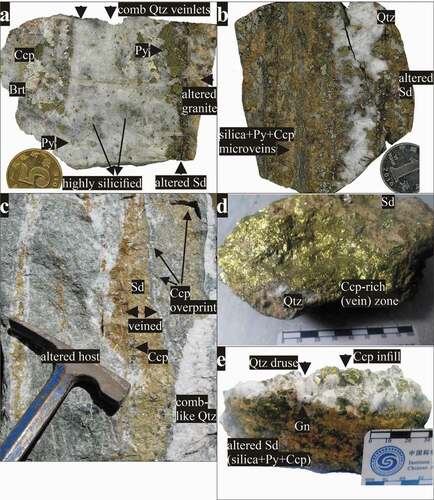 Figure 4. Ore textural styles and macroscopic paragenetic relations at Shicheng. (a) Polished slab of an overprinting sheeted-like style. Parallel fracturing with subsequent comb quartz deposition. Dark colour materials are due to the silica-sericite-sulphide association. Note the coarse-grained size of chalcopyrite adjacent to siderite (preferential replacement), (b) Polished slab of an overprinting sheeted-like style. Siderite is overprinted by quartz and subsequent pyrite-chalcopyrite-silica. (c) Subparallel quartz veins cut pre-existing siderite veins in a broken ore sample. Note the overprint of chalcopyrite, (d) Chalcopyrite-rich zone (vein) in an ore sample, and (e) Coarse chalcopyrite in a quartz druse (infill components)