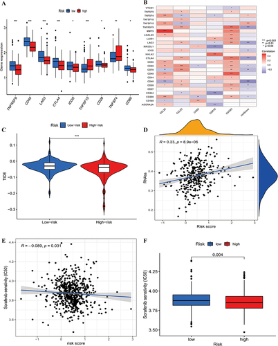 Figure 12 Evaluation of immune checkpoint profiles and immunotherapy between risk groups. (A) The expression of immune checkpoints between high-risk group and low-risk group. (B) Correlation analysis between immune checkpoints and risk scores. (C) Comparison of the scores of TIDE between the high and low risk group. (D) The relationship between risk score and RNAss. (E) The relationship between risk score and sorafenib sensitivity (IC50). (F) Comparison of the sorafenib sensitivity (IC50) between the high and low risk group.