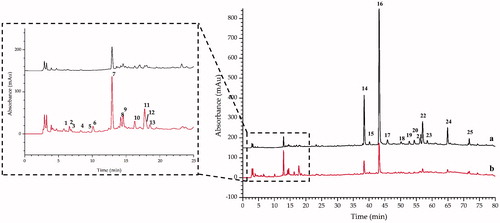Figure 3. The representative HPLC-DAD chromatograms of (a) ST and (b) STC.