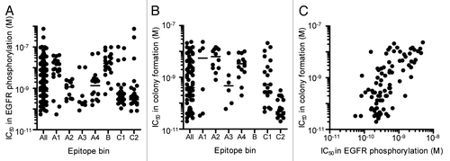 Figure 1. Neutralizing activity of anti-HB-EGF mAbs against sHB-EGF functions. (A) Neutralizing activity of anti-HB-EGF mAbs against sHB-EGF-induced EGFR phosphorylation in SK-OV-3 cells. The plots represent the IC50 values of 146 mAbs used in the epitope binning study (Fig. 3). The horizontal line indicates the median IC50 value. (B) Neutralizing activity of anti-HB-EGF mAbs against sHB-EGF-induced colony formation in RMG-I cells. We used the 89 mAbs with IC50 values of less than 5 × 10−9 M in the EGFR phosphorylation assay, and this plot represents the IC50 values of the 83 mAbs with IC50 values of less than 1 × 10−7 M. The horizontal line indicates the median IC50 value. (C) Correlation of neutralizing activities of anti-HB-EGF mAbs against sHB-EGF-induced EGFR phosphorylation and colony formation. Each dot represents the IC50 values of 83 mAbs with an IC50 value of less than 1 × 10−7 M in the colony formation assay (B). The data were analyzed by the Spearman’s test (two-tailed). The Spearman correlation was r = 0.6730 (p < 0.0001).