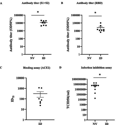 Figure 5. Prevention of a viral infection challenge by the pVAX-SARS-CoV2-co immunized mice. (A) Pre-viral challenge of mice immunized with 160 μg of pVAX1-SARS-CoV2-co plasmid intradermally (ID; n = 8) or not-vaccinated (NV: n = 10) two times at 2-week intervals. The antibody titer (half-maximum) for the recombinant S1 + S2 in the blood serum 16 weeks post initial vaccination and assessed using ELISA (p < .001; Student’s t-test). (B) Antibody titer (half-maximum) for the recombinant RBD in the blood serum in ID and NV mice (p = .018; Student’s t-test). (C) Neutralization titer (ID75) for the recombinant ACE2-S1 + S2 binding inhibition in the blood serum of ID mice. (D) ID and NV (n = 10) mice were intranasally infected with the mouse-adapted SARS-CoV-2 virus. The 50% tissue culture infective doses (TCID50) in the lung tissues of each animal are shown (p = .016; Student’s t-test). All individual values are provided in Supplemental Figure 1.