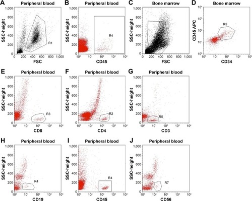 Figure 2 Humanized mice after 28 days of human HSC transplantation.