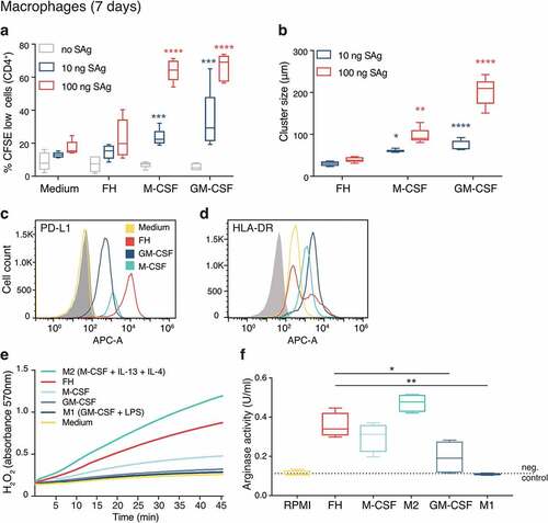 Figure 6. FH-induced macrophages exhibit a suppressive phenotype