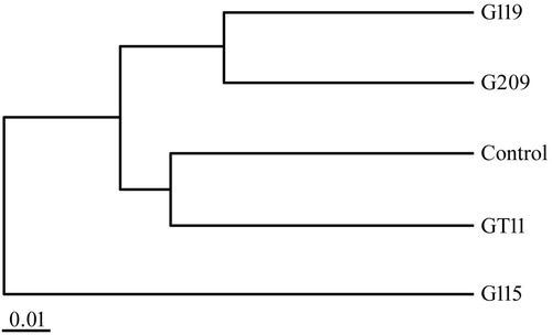 Figure 9. Clustering analysis on bacterial community of different PGPB inoculation of ginseng based on weighted unifrac distance.