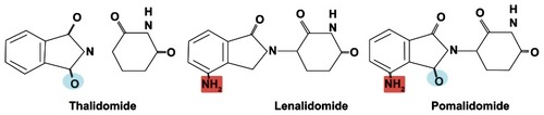 Figure 1 Chemical structure of the immunomodulatory drugs used in the management of myeloma patients.