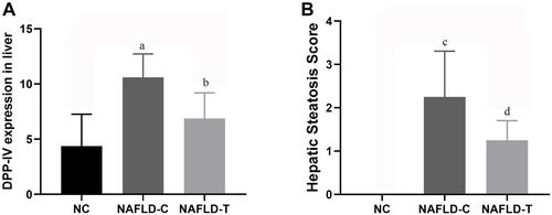 Figure 4 (A) Effect of DPP4i treatments on liver DPP4 expression, our results showed that DPP4 was overexpressed in non-alcoholic fatty liver tissue and DPP4 was significantly diminished after saxagliptin treatment. (B) Effect of DPP4i treatments on hepatic steatosis score. a: NAFLD-C group vs. NC group P < 0.01; b: NAFLD-C group vs. NAFLD-T group P < 0.05; c: NAFLD-C group vs. NC group P < 0.01; d: NAFLD-C group vs. NAFLD-T group P < 0.05.