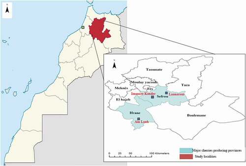 Figure 1. Geographical location of sweet cherry genotype collected and assayed