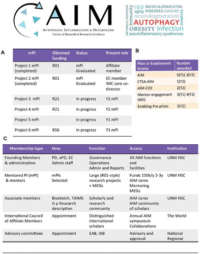 Figure 1. Summary of AIM progress, pilot and enablement programs, and membership. (A) Table of mentored PI’s status: graduations, new appointments, and NIH grants received. (B) A sampling of pilot grant programs and enablement funds provided by the AIM center. (C) AIM membership, levels, and functions.