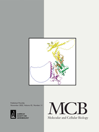 Cover image for Molecular and Cellular Biology, Volume 42, Issue 11, 2022