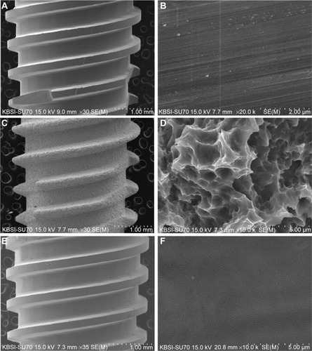 Figure 3 Field emission scanning electron microscopic images of the implants.Notes: (A) Low magnification (30×) of machined implant, (B) high magnification (20,000×) of machined implant, (C) low magnification (30×) of SLA implant, (D) high magnification (10,000×) of SLA implant, (E) low magnification (35×) of anodized implant, and (F) high magnification (10,000×) of anodized implant.Abbreviation: SLA, sandblasted large-grit and acid-etched.