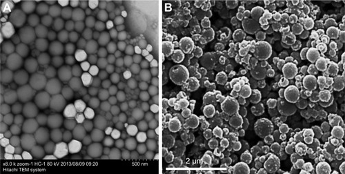 Figure 3 TEM images of normal PFOB NPs (A). TEM images of PFOB NPs coated with a gold nanoshell (B).Notes: (A) Reprinted from Li X, Qin F, Yang L, Mo L, Li L, Hou L. Sulfatide-containing lipid perfluorooctylbromide nanoparticles as paclitaxel vehicles targeting breast carcinoma. Int J Nanomedicine. 2014;9:3971–3985.Citation33 (B) Reprinted from the study by Ke H, Wang J, Tong S, Jin Y, Wang S, Qu E, Bao G, Dai Z. Gold Nanoshelled Liquid Perfluorocarbon Magnetic Nanocapsules: a Nanotheranostic Platform for Bimodal Ultrasound/Magnetic Resonance Imaging Guided Photothermal Tumor Ablation. Theranostics 2014;4(1):12–23. doi:10.7150/thno.7275. Available from http://www.thno.org/v04p0012.htm.Citation58Abbreviations: PFOB NPs, perfluorooctylbromide nanoparticles; TEM, transmission electron microscope.