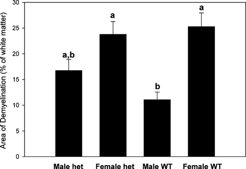 Figure 3 Female WT and Female Het mice had the same amount of demyelination as Male Het mice (p < 0.05), denoted with the “a” above the bars. The Male WT mice had less demyelination than both female groups but had the same as the Male Het mice (p < 0.05), denoted with the “b” above the bars. At least two images from each animal were evaluated blindly and the mean precent of demyelination (± SEM) for each group was determined using ImageJ software.