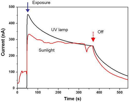 Figure 10. Photoresponse under sunlight or UV lamp exposure.