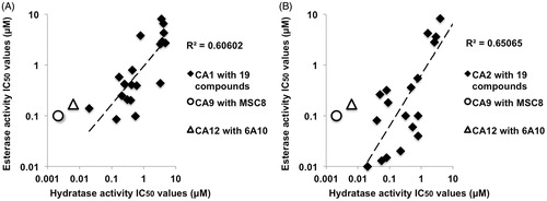 Figure 7. Correlation of esterase and hydratase IC50 values; 19 small molecule compounds on CA1 (A) and on CA2 (B). The correlation is indicated by the best-fitted linear curve with its corresponding R2 value calculated using Micro Soft Excel by taking the hydratase IC50 values on the X-axis and esterase IC50 values on the Y-axis. Both (A) and (B) shows the correlation of esterase and hydratase IC50 values of MSC8 on CA9 and 6A10 on CA12. IC50 values of antibodies and 19 small molecule compounds used in this figure are listed in Table 1.