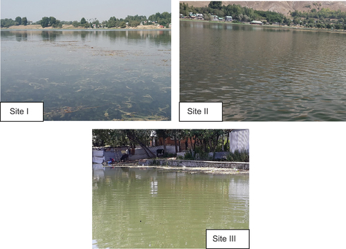 Figure 2. Study sites of the Manasbal Lake.