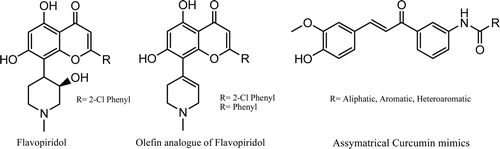 Figure 1.  Flavopiridol and curcumin mimics.