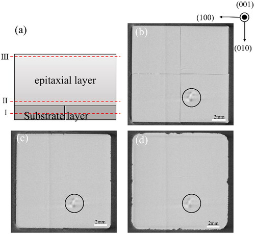 Figure 3. The schematic diagram of the 3D-CT scanning positions (a). (b)∼(d) are the CT images of mosaic SCD corresponding to line I ∼ III, respectively. (visual errors caused by the conductive adhesive are marked in the black circle).