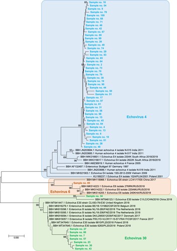 Figure 2. Phylogenetic tree based on partial VP1 gene sequences obtained in the present study. The sequences with the highest BLAST scores recovered from the NCBI GenBank nucleotide sequence database (http://www.ncbi.nlm.nih.gov/nucleotide/), indicated by BBH for best BLAST hit, for each sequence obtained here (indicated by a label starting by “Sample no.”) were incorporated in the phylogeny reconstruction. Alignment positions corresponded to coordinates 2462–2636 of sequence GenBank accession no. AF132497.1. Nucleotide alignments were performed using the ClustalW program with the BioEdit software v7.0.9.0 [Citation11], and the evolutionary history was inferred in the MEGAX v10.2.6 software (http://www.megasoftware.net/) using the Neighbour-Joining method and the Kimura 2-parameter method. The percentage of replicate trees in which the associated taxa clustered together in the bootstrap test (1000 replicates) is shown next to the branches. The tree is drawn to scale, with branch lengths in the same units as those of the evolutionary distances used to infer the phylogenetic tree. The scale bars indicate the number of nucleotide substitutions per site. Bootstrap values >50% are labelled on the tree.