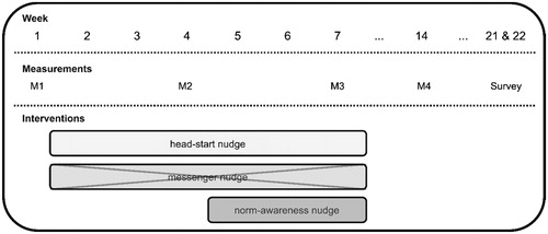 Figure 1. Schematic display of the study procedure.