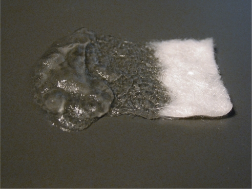 Figure 1 Tissue engineering substrate made of hyaluronic acid. Water has been applied to one end of this sheet in order to demonstrate the solubility of the material.