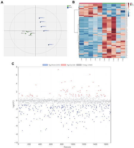 Figure 2 Metabolic profile analysis of NPC patients with and without metabolic syndrome. (A) Partial least-squares discrimination analysis (PLS-DA) of the serum metabolomic file of NPC patients in the MetS and NMetS groups (n = 5). Each symbol represents the data of an individual patient. (B) Fold change analysis discovering differential serum metabolites, which were identified with a log2 (FC) of MetS/NMetS > 1 or < −1. (C) Heatmap showing the top 50 differential serum metabolites. Differential serum metabolites were identified with p<0.05 using Student’s t-test.