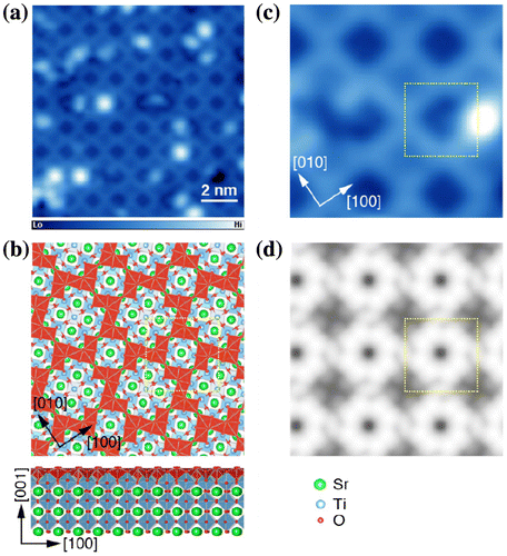 Figure 6. SrTiO3(001)−(√13 × √13)-R33.7° reconstructed surface. (a) STM image (11.5 × 11.5 nm2, V s = +1.5 V, I t = 30 pA, T = 5 K). (b) Magnified image (3.7 × 3.7 nm2). (c) The surface structure of the reconstructed surface. TiO6 octahedra in bulk and truncated octahedra TiO5 (TiO2 nanomesh) at the surface are shown in blue and red, respectively. (d) Simulated STM image at V s = +1.5 V. The dotted square encloses a (√13 × √13)-R33.7o surface unit cell.