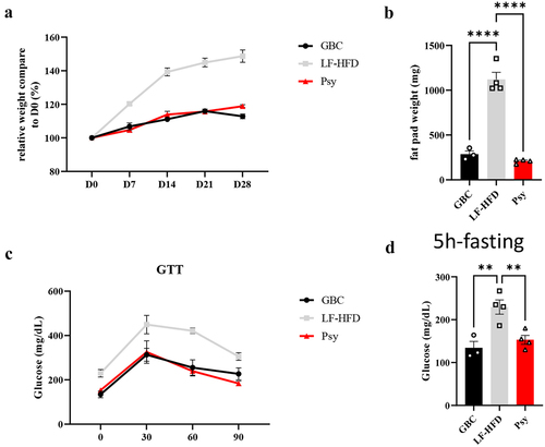 Figure 3. Psyllium protective effect against HFD-induced metabolic syndrome is FXR independent. Male 6- to 8-week-old FXR-KO (C57bl/6 FXR−/−) mice were fed with indicated diet for 28 days. (a) Relative body weight over time. (b) Epididymal fat pad weight. (c) Glucose tolerance test and respective areas under the curve. (d).5 hours fasting glucose level. Data are expressed as means ± SEM of n = 4 mice per group. Significance was determined by ANOVA. *P < 0.05, **P < 0.01, ***P < 0.001, ****P < 0.0001.