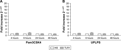 Figure S3 The effects of Pam3CSK4 and UPLPS on TLR1 expression. COPD alveolar macrophages were left untreated or stimulated with Pam3CSK4 (0.1 μg/mL) (A) or UPLPS (0.1 μg/mL) (B) (n=5) for 4, 6, 24, and 48 hours. TLR1 gene expression was measured by qPCR and fold change was normalized to GAPDH. Paired t-tests were carried out to compare fold induction to unstimulated time-matched controls.Abbreviations: TLR, Toll-like receptor; NS, no stimulation.