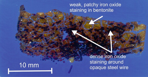 Figure 10. Transmitted light laser-scanned image of polished thin section through the compacted bentonite–steel wire composite.