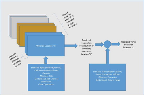 Figure 5. Conceptual framework of DSM2 emulator. Key inputs are freshwater inflows to the Delta, exports of water outside the Delta, downstream tidal stage at Martinez, net channel depletions from Delta islands, and the status of flow control structures (gates and barriers) used to manage interior Delta flows (see Fig. 1). This is used to compute the volumetric contribution and water quality at a location “X”.