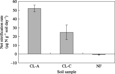 Figure 1  Nitrification potential of the peat soils collected from arable land (CL-A, CL-C) and adjacent natural forest (NF). Values shown are mean ± standard deviation (n = 2).