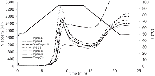 Figure 2. Pasting profiles of six Indonesian brown rice varieties.Figura 2. Perfiles de pegado de seis variedades de arroz integral indonesio