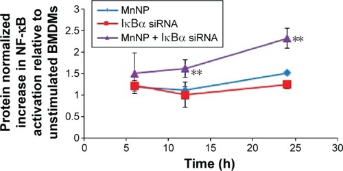 Figure 5 Activation of NF-κB in NGL BMDMs by MnNP delivery of IκBα siRNA without any other form of stimulation or activation.Notes: NF-κB activity is significantly increased as early as 12 hours following transfection with IκBα by MnNPs and has more than doubled 24 hours after transfection (**P≤0.001). There is some small activation caused by delivery of unloaded MnNP polymer after 24 hours, but this activation is significantly less than that mediated by delivery of both MnNPs and IκBα (P=0.005).Abbreviations: NF-κB, nuclear factor-kappaB; NF-κB GFP-luciferase NGL; GFP, green fluorescent protein; BMDMs, bone marrow-derived macrophages; MnNP, mannosylated endosomal escape nanoparticle; siRNA, small interfering RNA; h, hours.