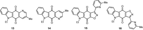 Figure 3. Structures of pyrido and isoxazolocarbazolediones 13–16.