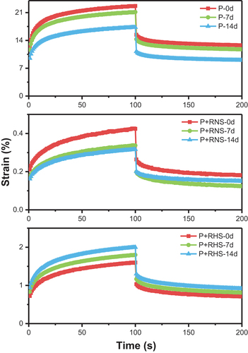 Figure 5. Creep-recovery curves for peach puree without and added with 10% of RNS and RHS after 14 days storage at 4°C.