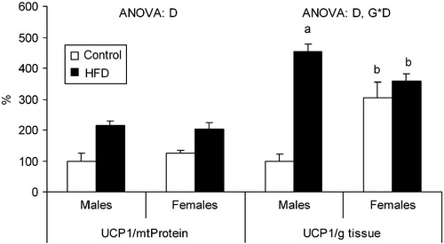 Figure 2.  Effects of HFD on BAT UCP1 protein levels. HFD, high fat diet; UCP1, uncoupling protein 1; mtProtein, mitochondrial protein. Values are means ± SEM (n = 5–7). ANOVA (p < 0.05): D indicates diet effect, and G*D indicates gender and diet interactive effect. Student's t-test (p < 0.05): aHFD vs. control; bfemales vs. males. Levels of control male rats were set as 100%.