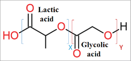 Figure 1. PLGA polymer structure, PLGA a copolymer of poly lactic acid (PLA) and poly glycolic acid (PGA). X and Y indicate the number of each unit repeats.