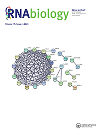 Cover image for RNA Biology, Volume 17, Issue 4, 2020