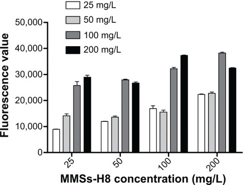 Figure 6 Optimization of the detection concentration of MMS-H8 and QD-H8.Notes: MMS-H8 and QD-H8 were diluted to 50 mg/L; 100 mg/L; 150 mg/L; and 200 mg/L, respectively. The concentration was optimized for the H37Rv detection. High fluorescence was obtained for 100 mg/L as the best detection concentration for MMSs and QDs.Abbreviations: MMSs, magnetic microspheres; QDs, quantum dots.