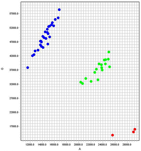 Figure 1 Allelic discrimination plot showing the results of IL13 rs20541 SNP genotyping by real-time PCR in 48 examined allergic patients. Blue dots correspond to the homozygous GG genotype (28 patients), green dots correspond to the heterozygous AG genotypes (17 patients), and red dots correspond to the homozygous AA genotype (3 patients). The X-axis represents the fluorescence of allele A while the Y-axis represents that of allele G. Different colors correspond to different fluorescent dyes used in the reaction; FAM (blue), ROX (red), and VIC (green).