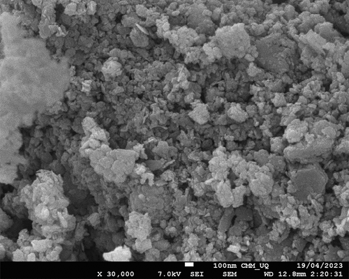 Figure 4. SEM images of compacted red mud sample at 100 nm.